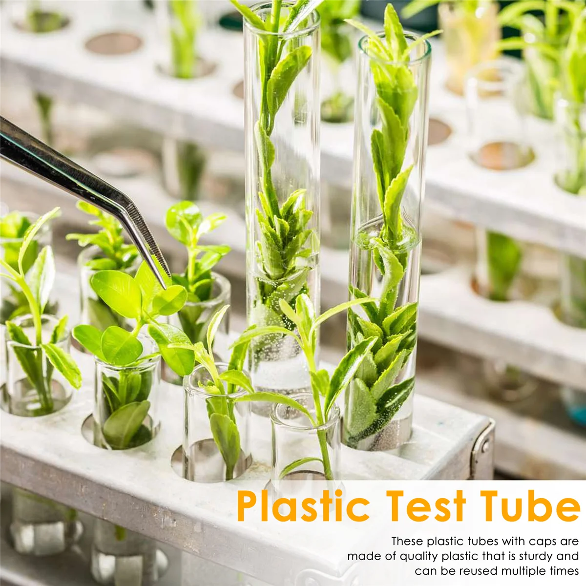 100Pcs 12X100mm Transparent Laboratory Clear Plastic Test Tubes Vials with Push Caps School Lab Supplies