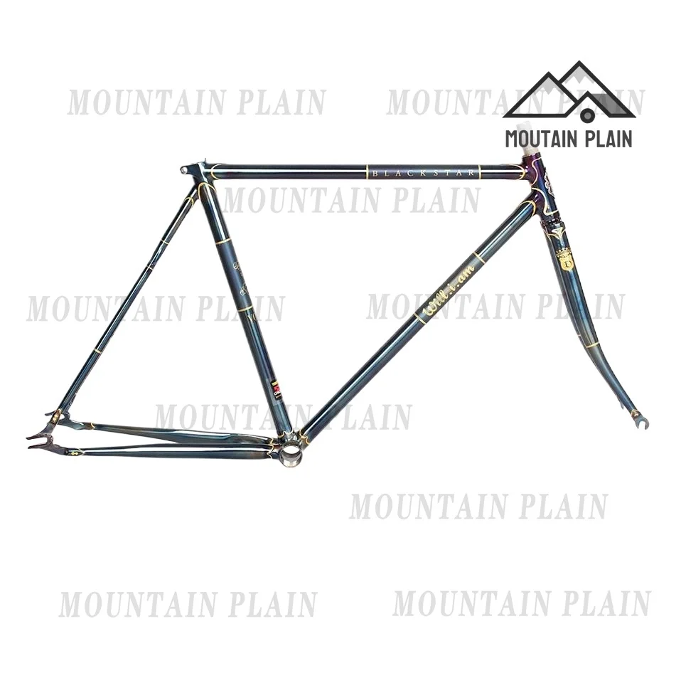 Reynolds 853 4130 Chromoly Steel Bike Frame Vintage Steel Frame