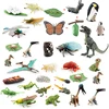 Animal Life Cycle Animal Model Set Toys Growth Life Cycle Insect Dinosaurio Montessori Toy Biology Accessories Cognitive Toys 2