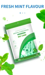 Mint Flavor Ultrathin Dental Floss Toothpicks - 500 Pack (100 pieces)