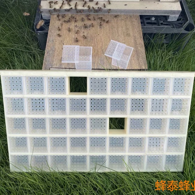 1Dcs Méh Multifunkcionális Műanyag King Tároló Multi Király Queen Ketrec 45 Rácskirály