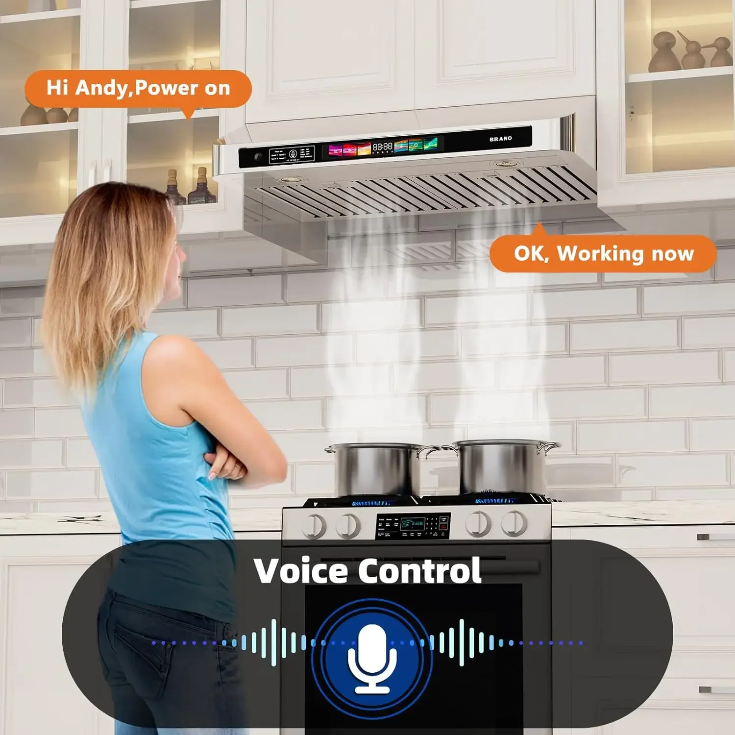 30 Inch Under Cabinet Range Hood With Voice/Gesture/Touch Control 900 CFM Kitchen Vent Hood With 4-Speed Exhaust Fan Stainless