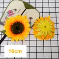Sunflower Head 5