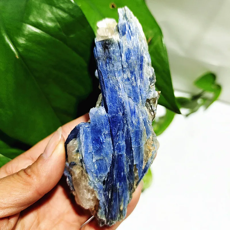 

Natural Mineral Stone Kyanite Crystal Cluster Room Decoration Mine Standard Miner Specimen Open home decorated Healing Crystals