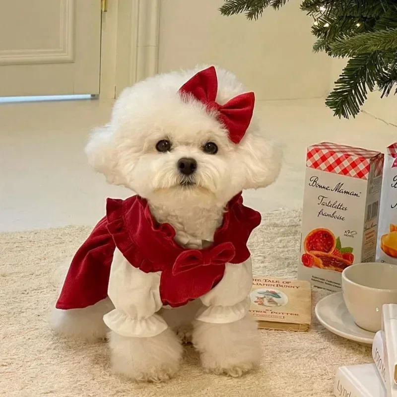강아지 공주 드레스, 가을 겨울, 테디, 비숑, 요크셔 테리어, 소형 중형 강아지..
