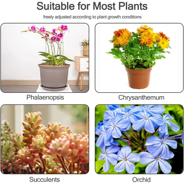 10 db Növényi Támogatások Tétek Újrahasznosítható Virágzöldség Tartó Botok Virágnövények Állnak A Beltéri Kültéri Kerti Dekorációhoz - Image 6