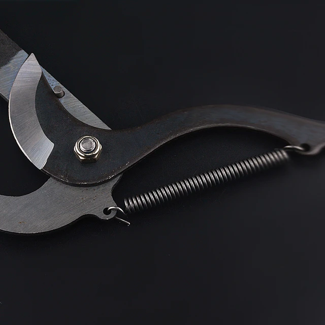 1Pc Nagy Magasságú Kiterjesztésű Lopper Ág Olló Bővíthető Gyümölcsfa Metszés Fűrészvágó Kerti Trimmer Szerszám Kötéllel - Image 5
