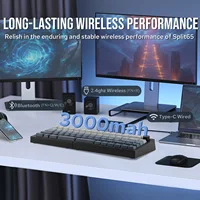 EPOMAKER Split65 60% Layout TOP Structure Hot-Swap Wired/2.4GHz/Bluetooth 5.0 Wireless Mechanical Keyboard South-facing RGB - Image 3