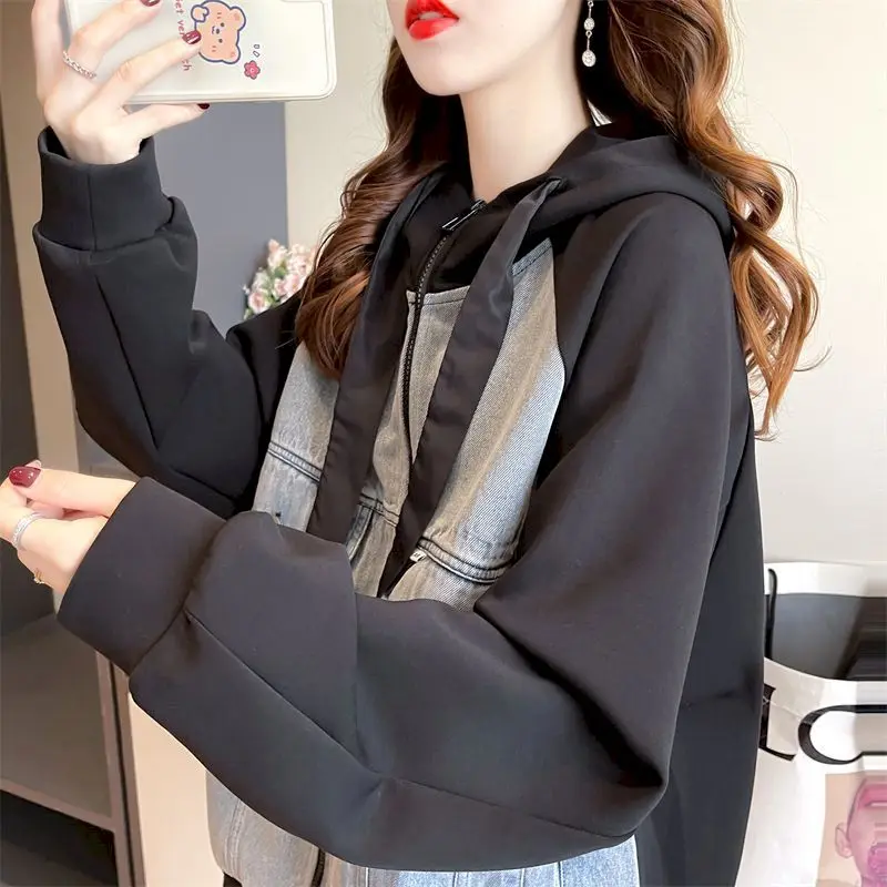 Sweat-Shirt Femme Zippé Sans Capuche – Veste Légère Mi-Saison – Coupe Grande Taille – Décontracté Et Sportif