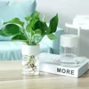 Mini Hydroponic Flower Pot Transparent Soilless Plant Vase for Home Decoration, Imitation Glass Green Plants Pot 2 Mini Hydroponic Flower Pot Transparent Soilless Plant Vase for Home Decoration, Imitation Glass Green Plants Pot 2