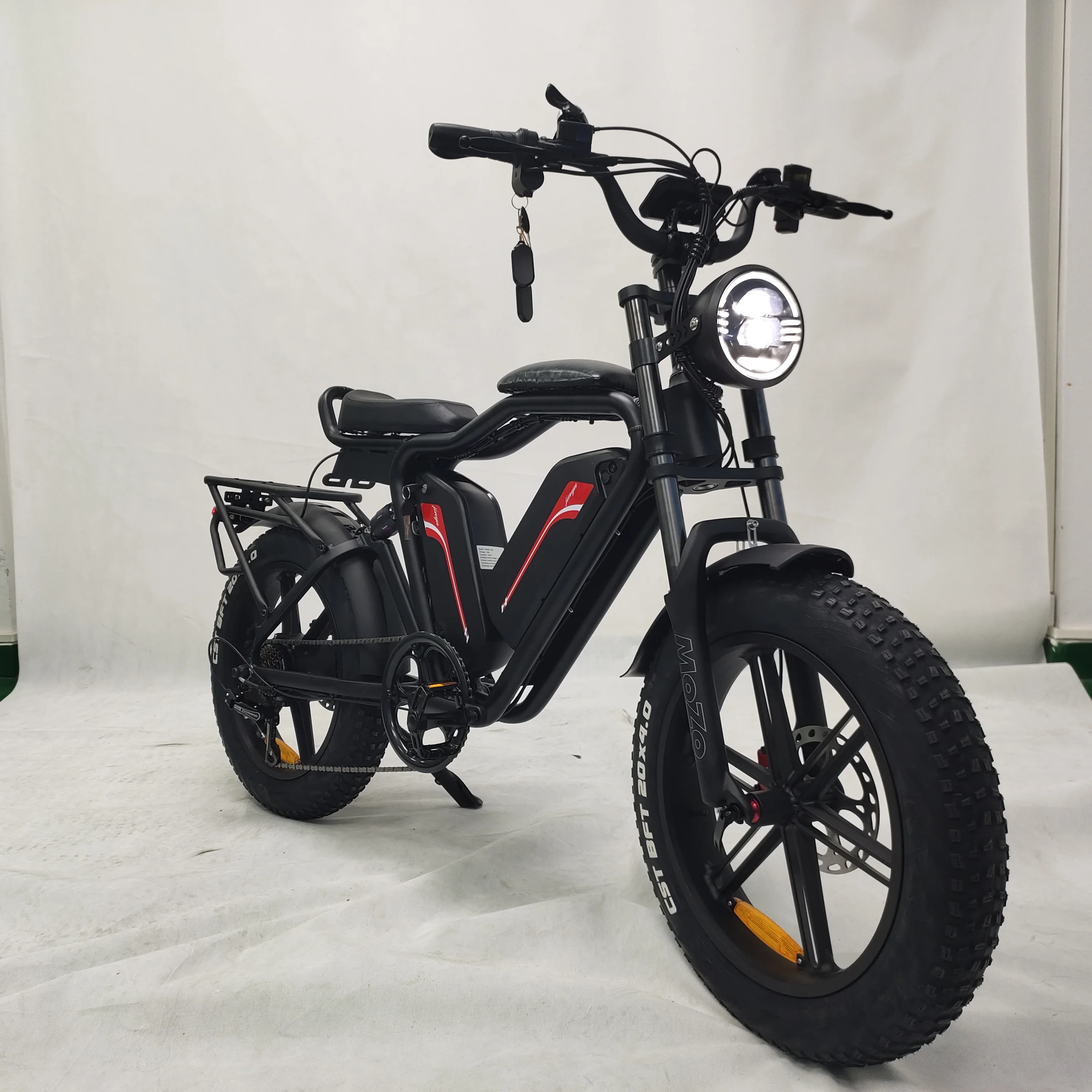 20inch 48v 22ah*2 Lithium Batteries 1000w Brushless Motor E Fat Tire Bike Ecycle Cargo Ebike Delivery Electric Bicycle