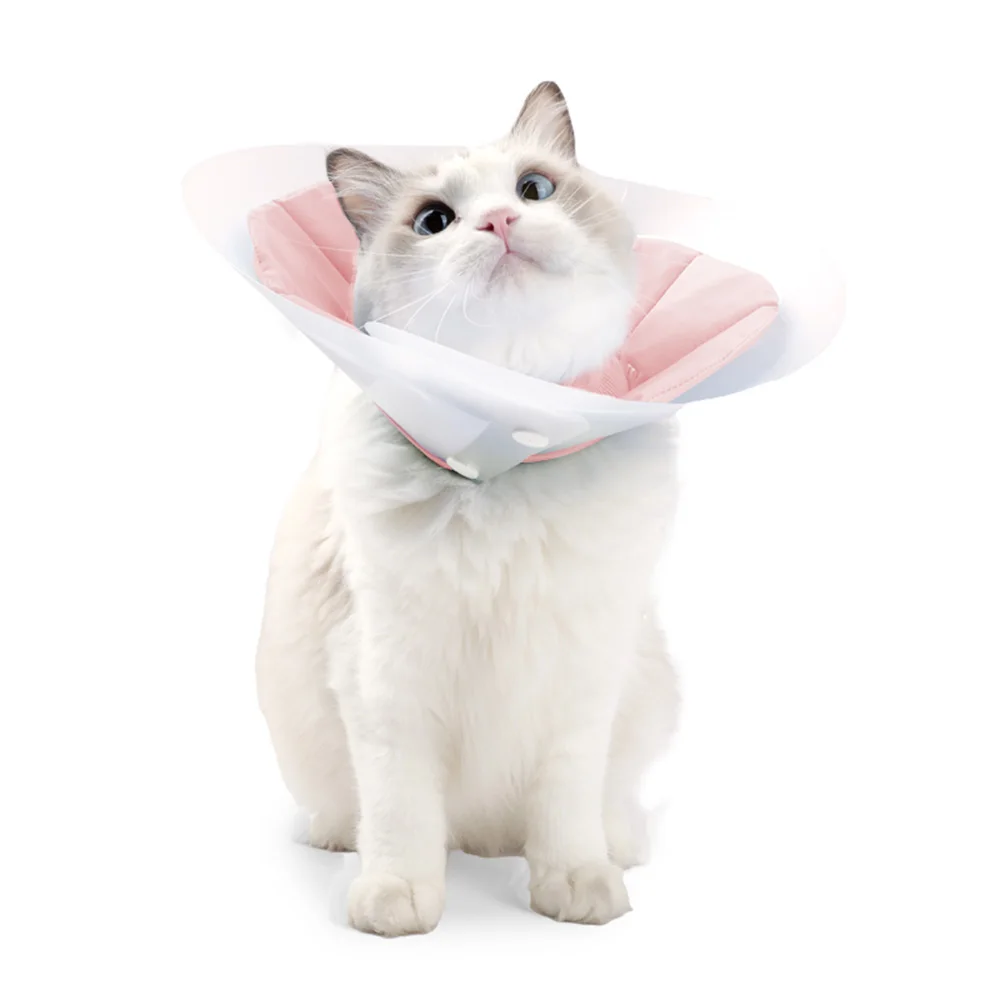 Dual-Layer Cat Recovery Cone