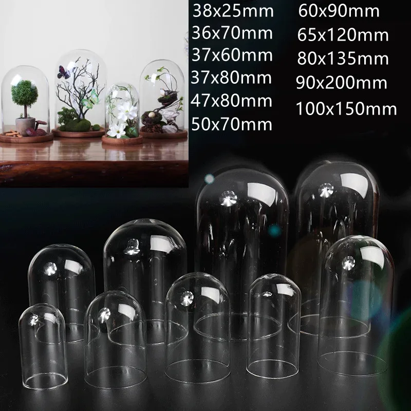 10/20/30/50pcs Tube Glass Dome Cloche Cover Microlandscape Holder Bell Jar For DIY Flower Plants Vase Table Ornaments Home Decor 6
