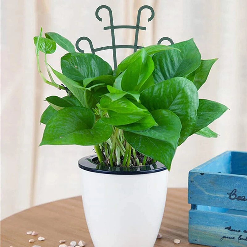 2Pcs Mini Garden Growing Plant Climbing Shelf Trellis Vegetables Flowers Support Plant Pot Frame Garden Decorative Cages climbing plant trellis