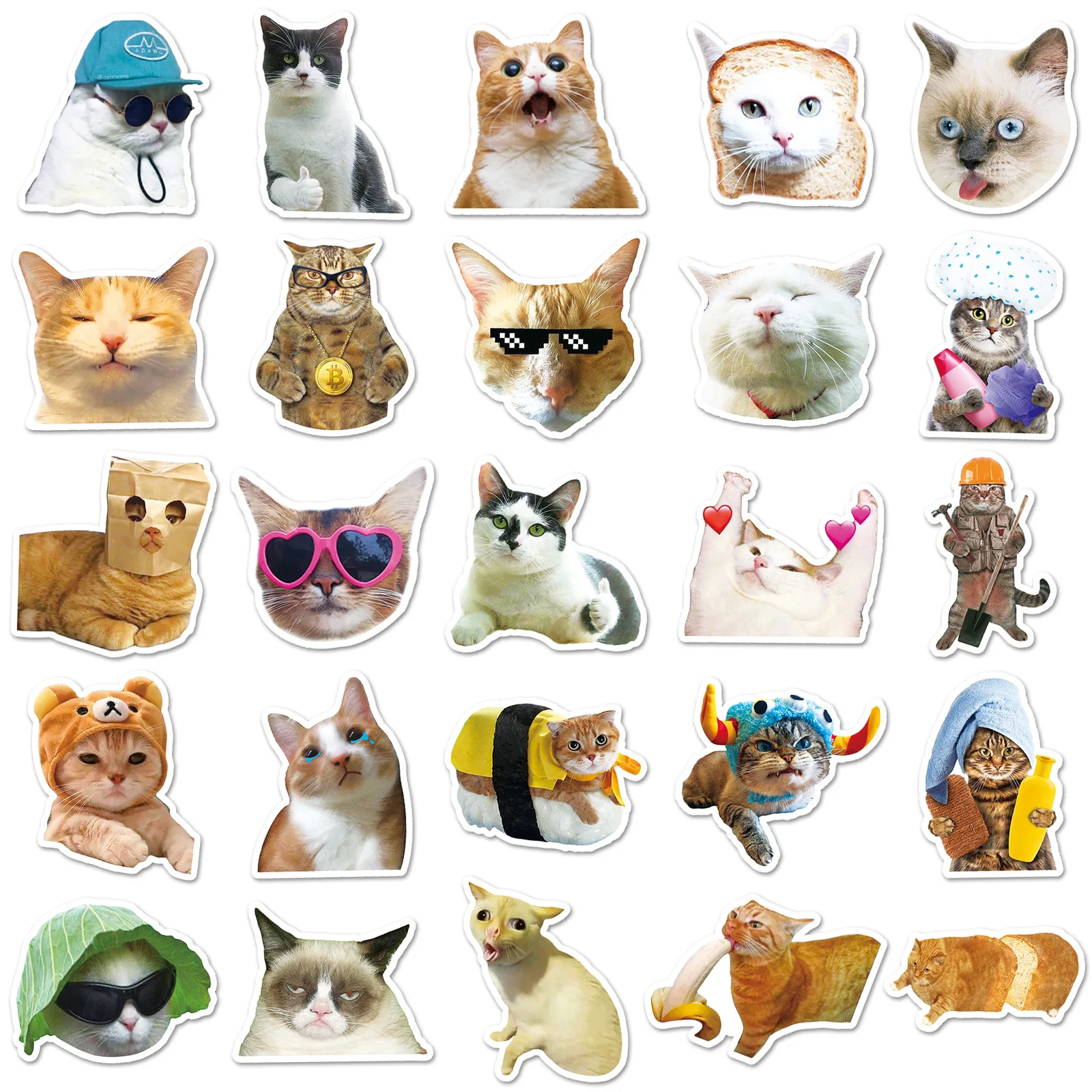 Grumpy Cat Stickers