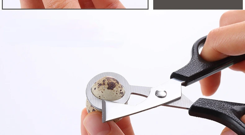 Description Picture 5 of itemDurable Multifunction Kitchen Tools Stainless Steel Blade Quail Egg Shell Scissors Cigar Cutters Rust Resistant