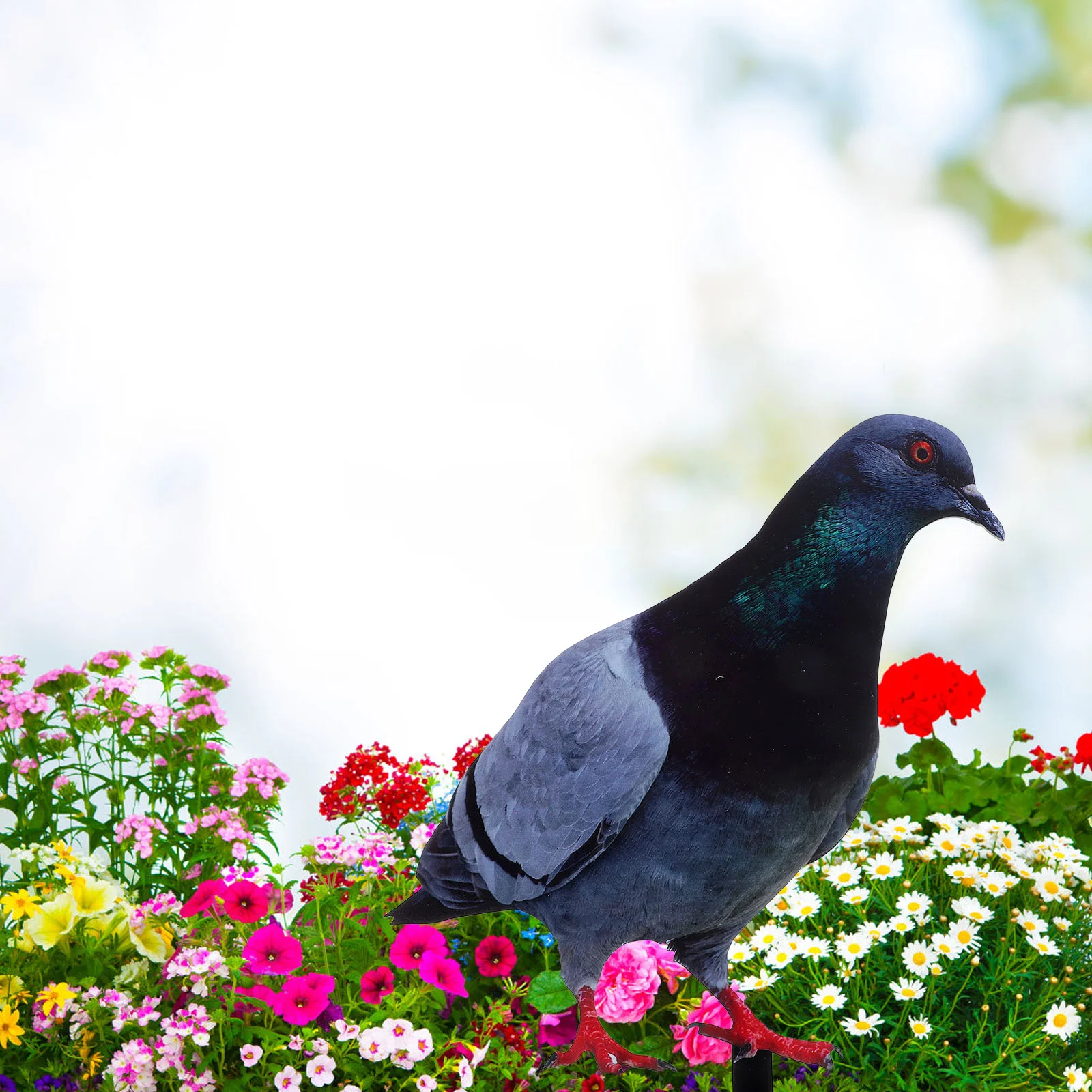 

Simulated Pigeon Ground Plug Home Decor Outdoor Adornment Yard Stake The Sign Home+decor Lawn Decoration Acrylic