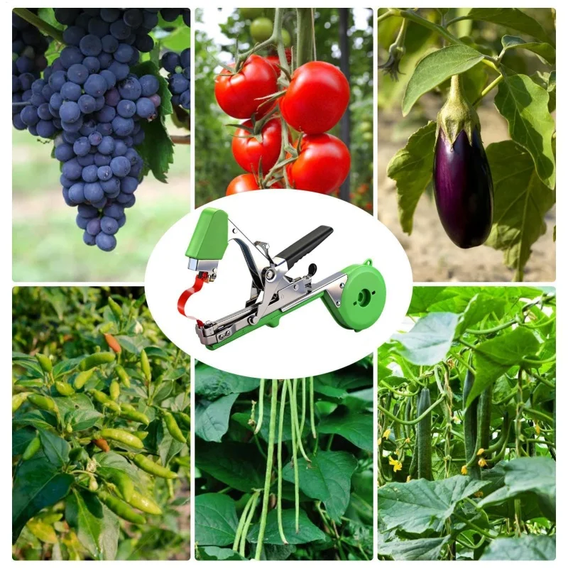식물 가지 손묶음 기계 정원 식물 묶음 기계 다진 야채 테이프 도구 타페너 정원 도구