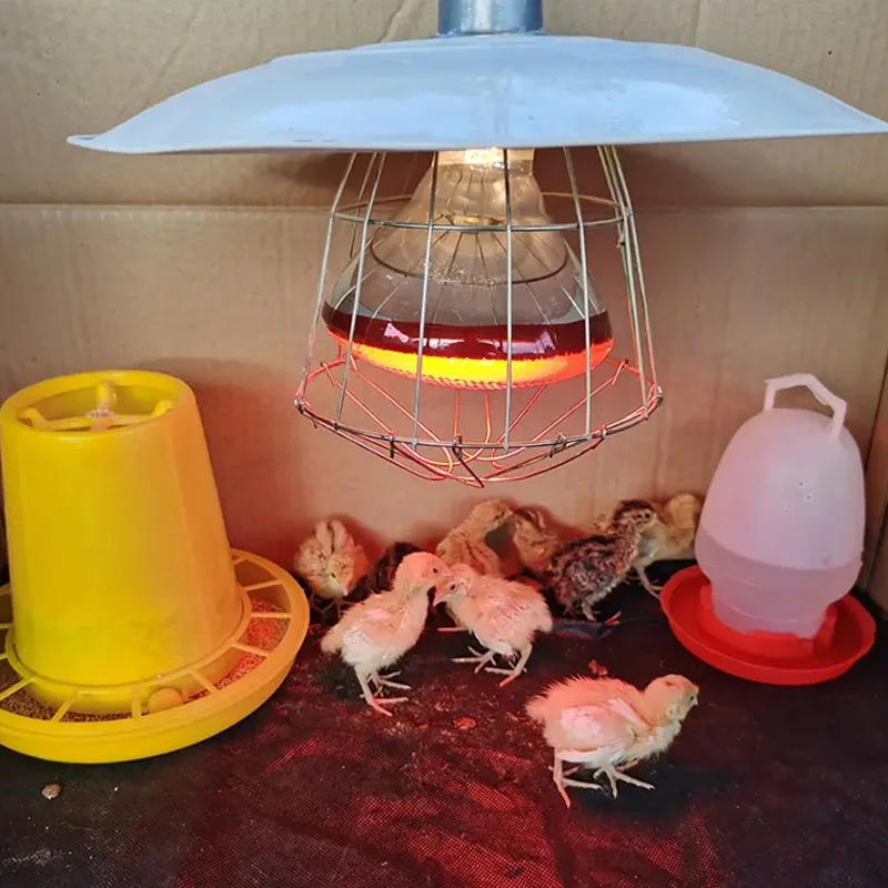 220V poultry heating bulb heating lamp bulb Poultry Heating Bulb Infrared Insulation Heat Lamp Set With Lampshade And Switch 100-275W Amphibians Pet Livestock Poultrys