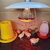 220V Poultry Heating Bulb Infrared Insulation Heat Lamp Set With Lampshade And Switch 100-275W Amphibians Pet Livestock Poultrys 1