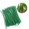 10-100pc Adjustable Plant Ties Flexible Garden Plant Ties Green Multi-Function Sturdy Garden Plant Twist Tie Plastic Garden Ties 2