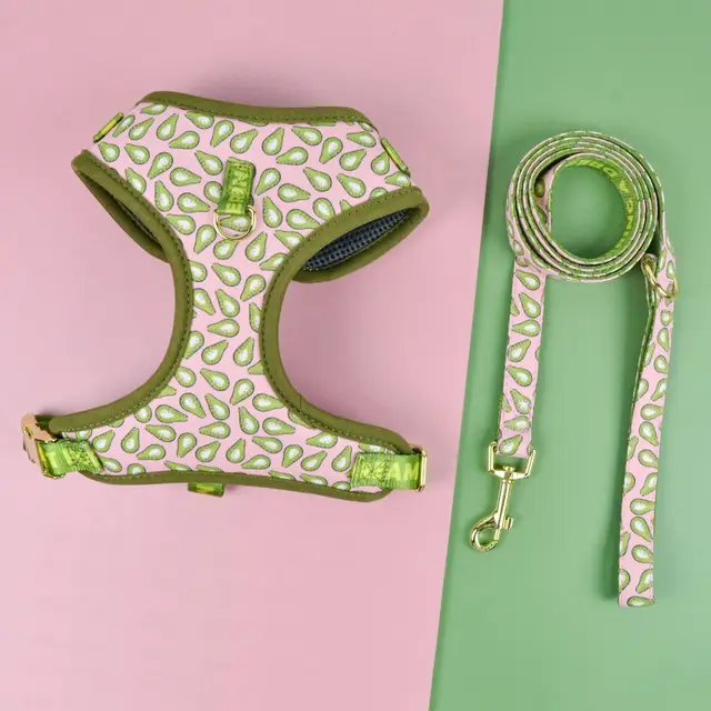 Valentine's Day and New Year's gift Cute Design Adjutable Luxury Designer Pet Harness &1 Pcs Color Matching Pet Dog Leashes Valentine's Day and New Year's gift Cute Design Adjutable Luxury Designer Pet Harness &1 Pcs Color Matching Pet Dog Leashes