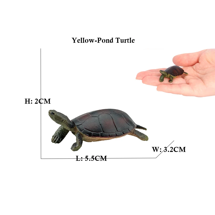 Turtle and Tortoise Action Figure Playset - Sea and Marine Animal Toy Collection