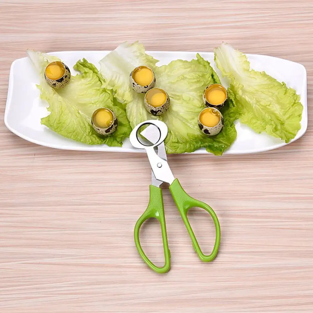 Egg Shell Opener Scissors Stainless Steel Quail Egg