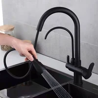 Kitchen Sink Faucet with Pull Down Sprayer 2 Handles 3 in 1 Water Filter Water Purifier Faucet Countertop Sink Hose Accessories 2