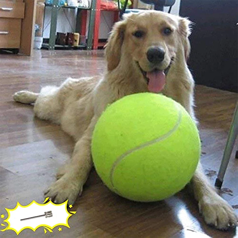 24cm Dog Chew Toys Tennis Ball Large Pet Toys Funny Outdoor Sports Dog Ball Gift with Inflating Needles Dog Toys for Large Dogs 24cm Dog Chew Toys Tennis Ball Large Pet Toys Funny Outdoor Sports Dog Ball Gift with Inflating Needles Dog Toys for Large Dogs