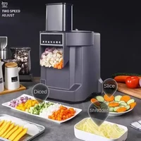 110V 220V Electric Food processor Vegetable, Carrot, Potato Chopper, Slicer and Dicer Vegetable Shredding Machine & 3 Knife Disc 2