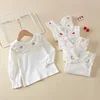 2025 Spring Autumn Baby Girls Tops Cotton Lace Collar Embroidery Long Sleeve Toddler Girls Shirts Kids Girls Bottoming Shirts 3