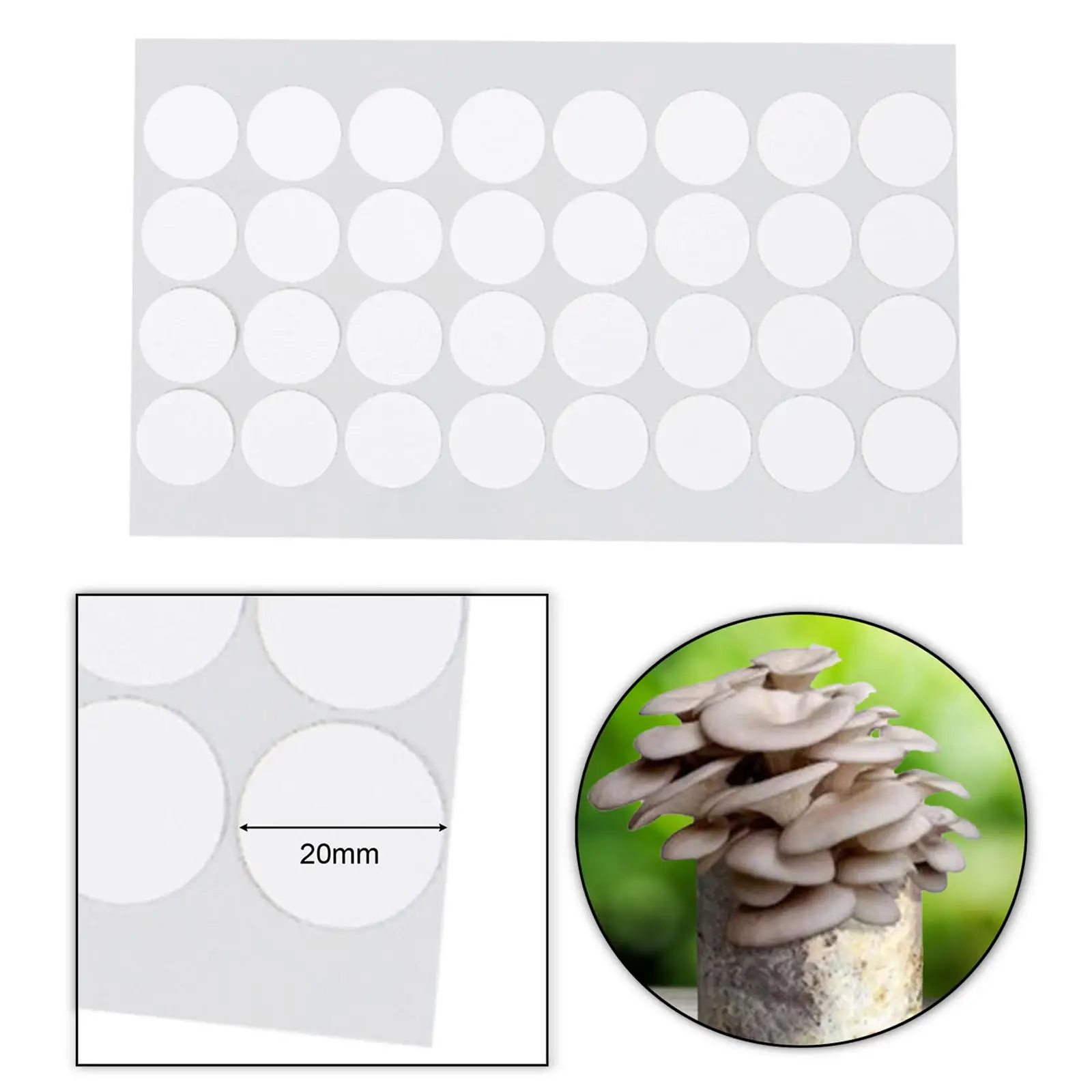 24 Pcs 2.5 Monotub Adhesive Filter Disks, 2MM Thick