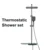 Thermostatic shower