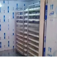 Équipement de boulangerie professionnel, four de cuisson du pain Commercial à vendre, Machine à pâtisserie de grande capacité 2