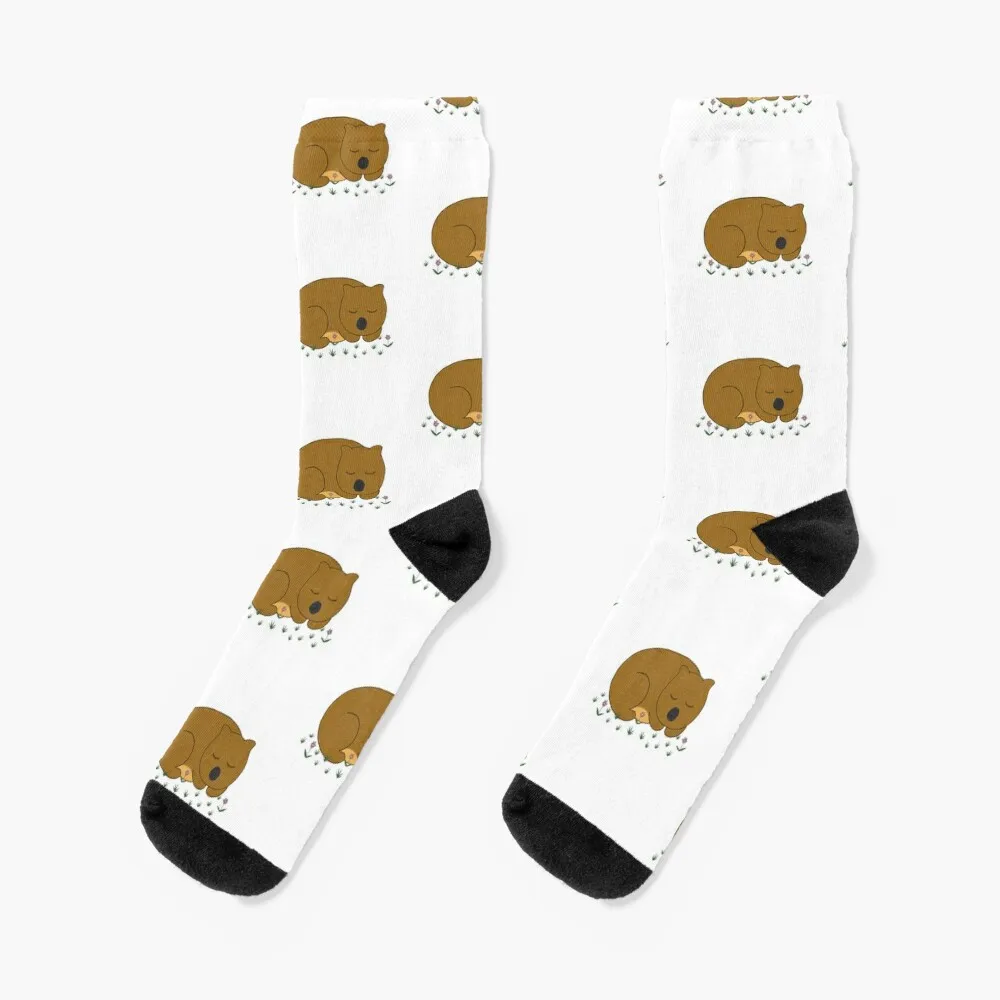 Wombat Dreaming Socks floral socks football socks basketball socks Socks Ladies Men's historical architecture socks kids socks funny gifts ladies socks men s