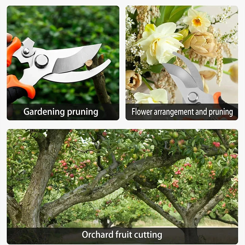 Pruning Shears 6