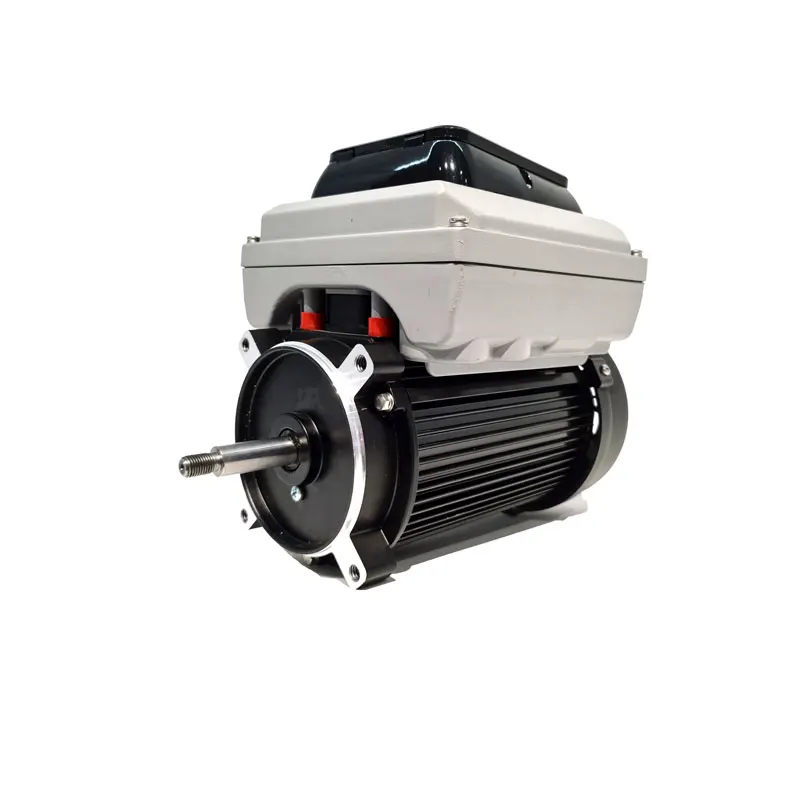 

20 Year Factory VSM-CU Series US Energystar DOE ETL High Power Economic Type Motor for Pool Pump