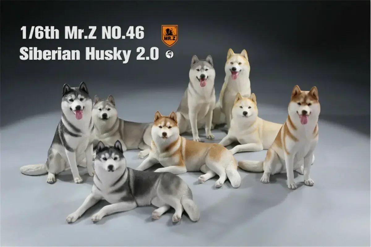

Mr.Z & Xmmos масштаб 1:6 Сибирский хаски 2,0 собака исцеляющая фигурка Хаски модель животного игрушка коллекционное украшение подарок для детей