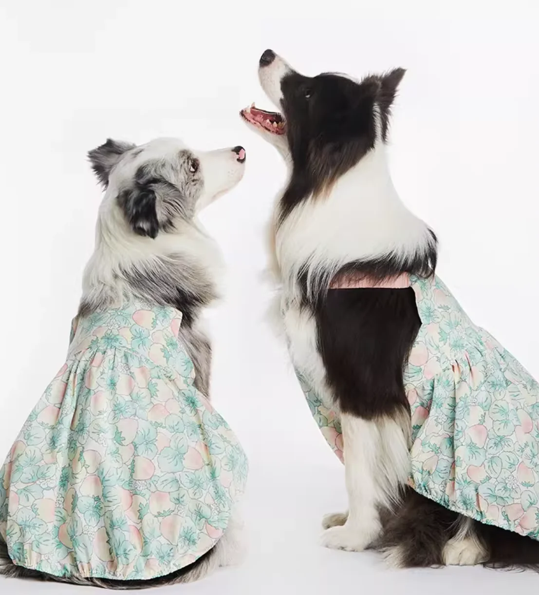 Cute Cat and Dog Clothes, Summer Flower Skirt, Chest Back, Big Dog, Bull Terrier, Grey Dog Clothes