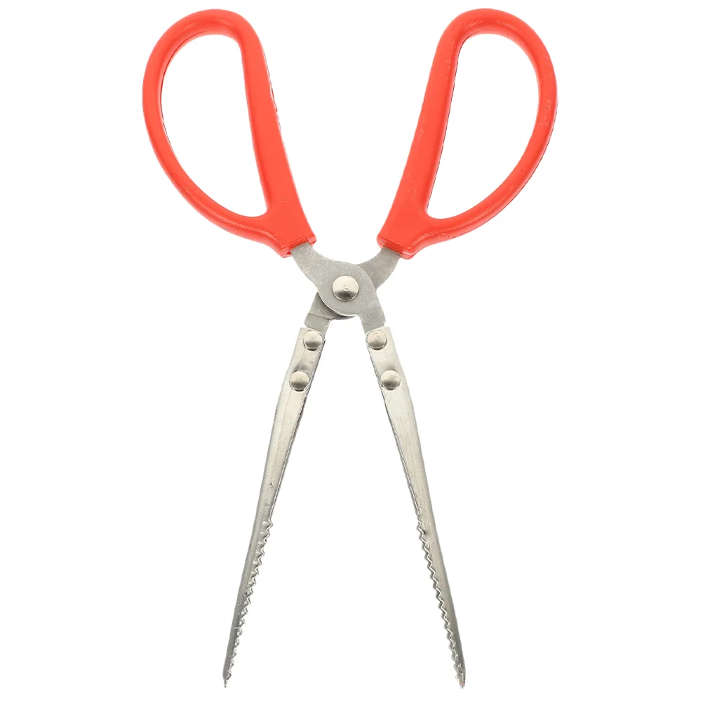 

Crab Grabber Tong Fish Catching Clamp Loach Tong Sea Crab Clamp for Outdoor
