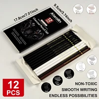 Professional Colored Charcoal Pencils Drawing Set,12 Pieces Pastel Chalk Pencils for Sketching, Shading, Blending, Portrait, Bl 2