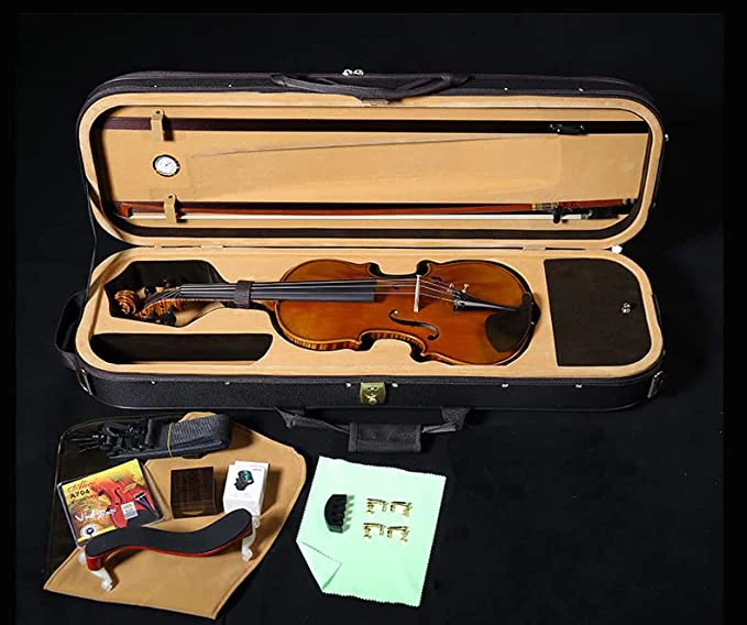 Stradivarius 2024 violin case