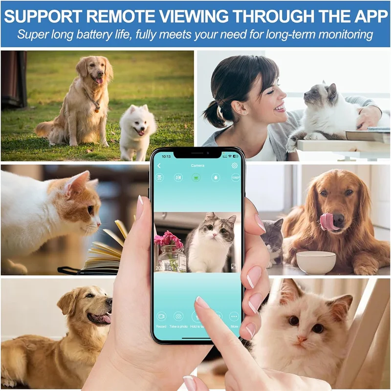 HD 1080p Mini Pet Camera Collar 64gb Sd Card Night Vision Remote Playback Dog Cat Camera Collar Indoor/Outdoor