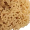 Tool Greek Natural Sponge Baby Bath Scrubber for Body Sea Sponges Bathing Shower 3