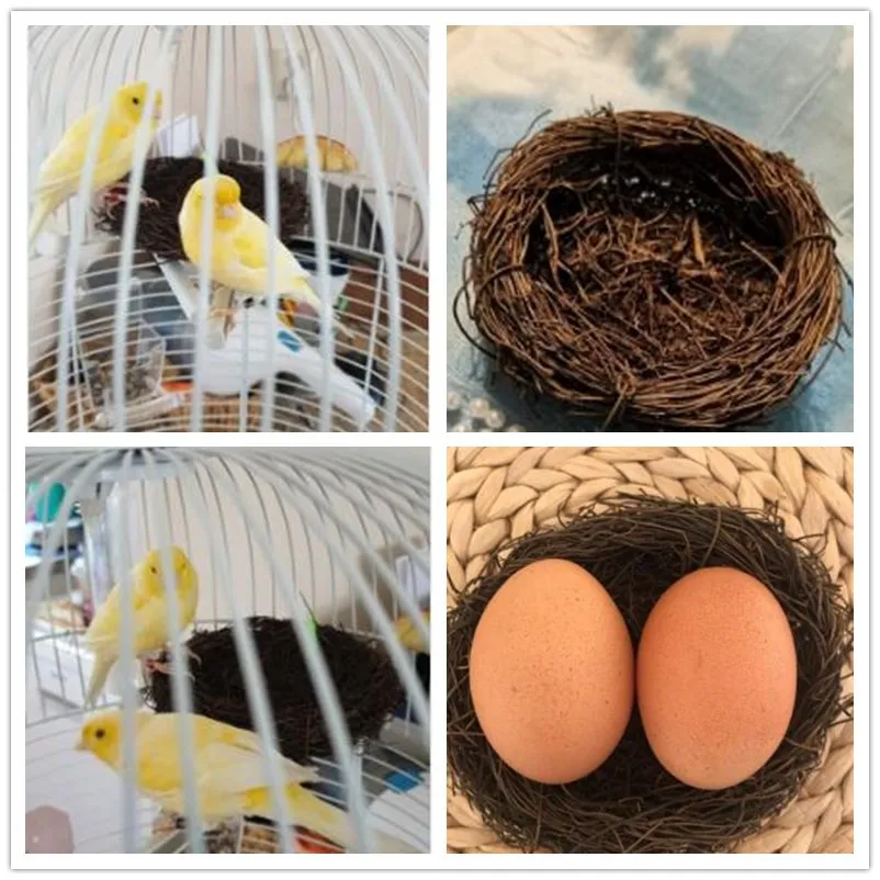 6/8/10/12/15/20cm Vintage Nature Decoration Prop Bird Nest Bird Cage Creative For Optical Shop Display WindowPhotography Props