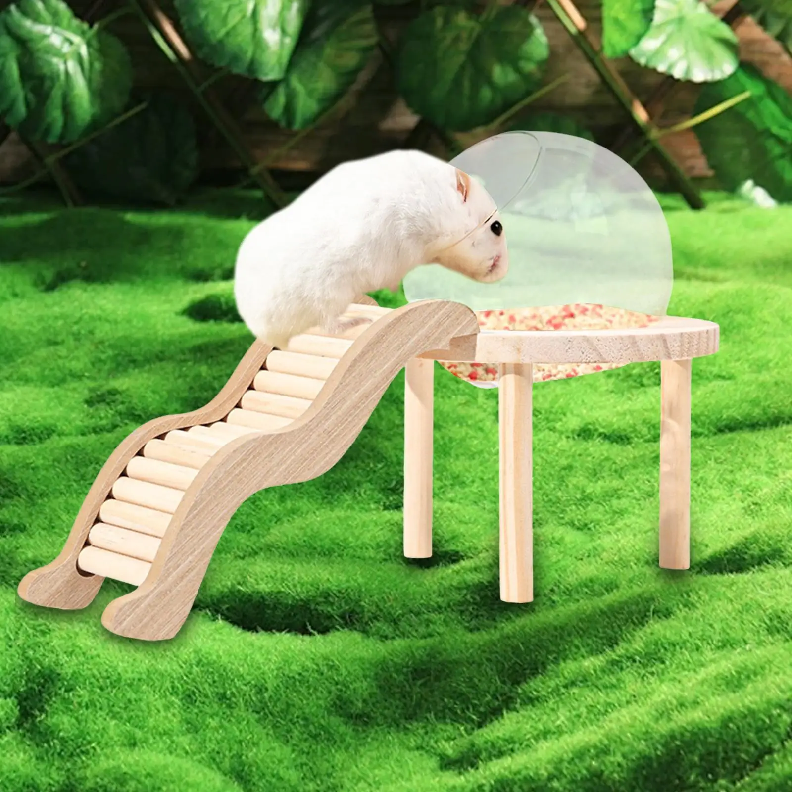 Hamster Sand Bath Container with Wooden Ladder for Pet Supplies Gerbils Mice Hamster Sand Bath Container with Wooden Ladder for Pet Supplies Gerbils Mice