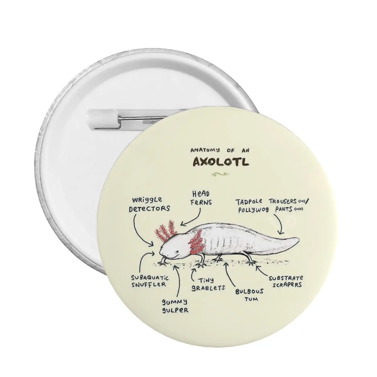 Axolotl Hexagon Salamander Anatomy Pin Distintivo Personalizzabile Zaino Distintivi Spilla Spille Spilla In Metallo S Lovers