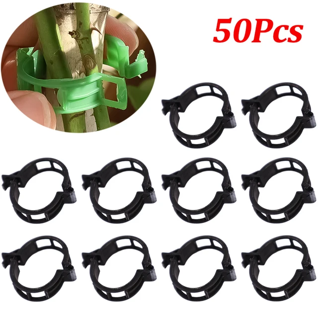 Black-50Pcs