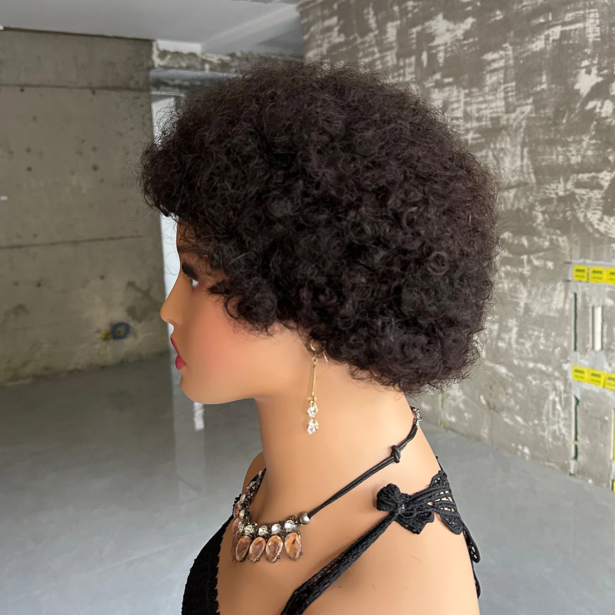 Cheap Short Afro Kinky Curly Wigs For Women Human Hair Brazilian Hair Human Hair Afro Wigs Full Machine Made Wig